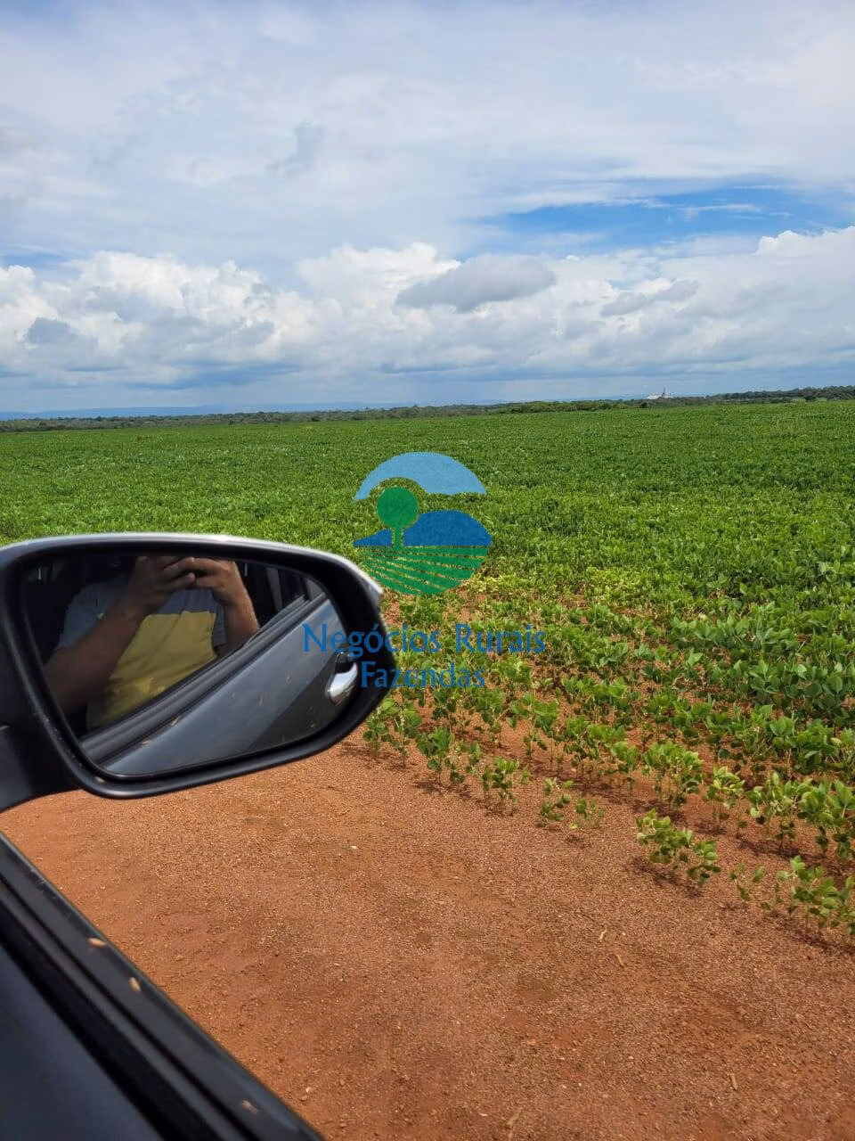Fazenda de 513 ha em Silvanópolis, TO
