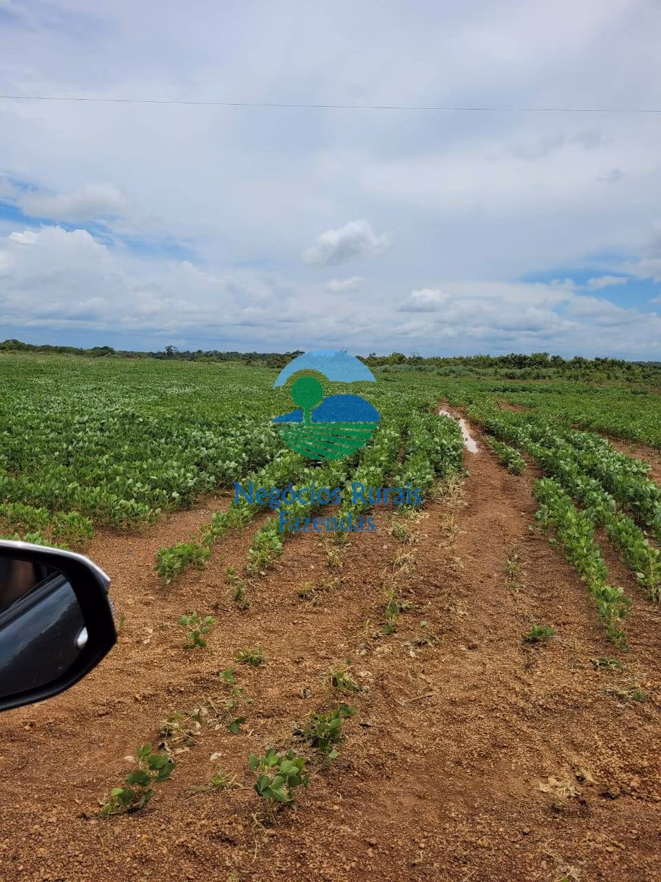 Fazenda de 513 ha em Silvanópolis, TO