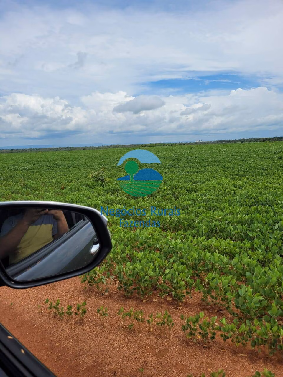 Fazenda de 513 ha em Silvanópolis, TO