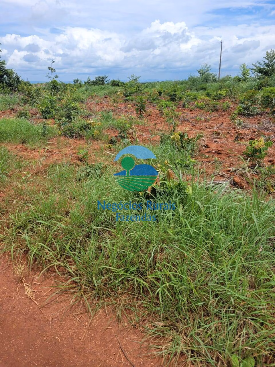 Fazenda de 513 ha em Silvanópolis, TO