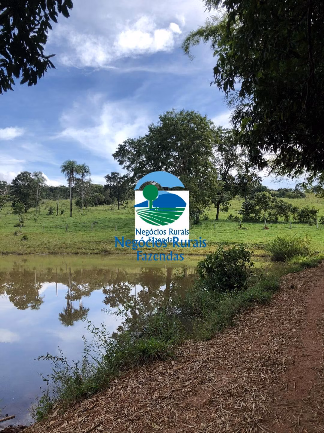 Fazenda de 484 ha em Uruaçu, GO