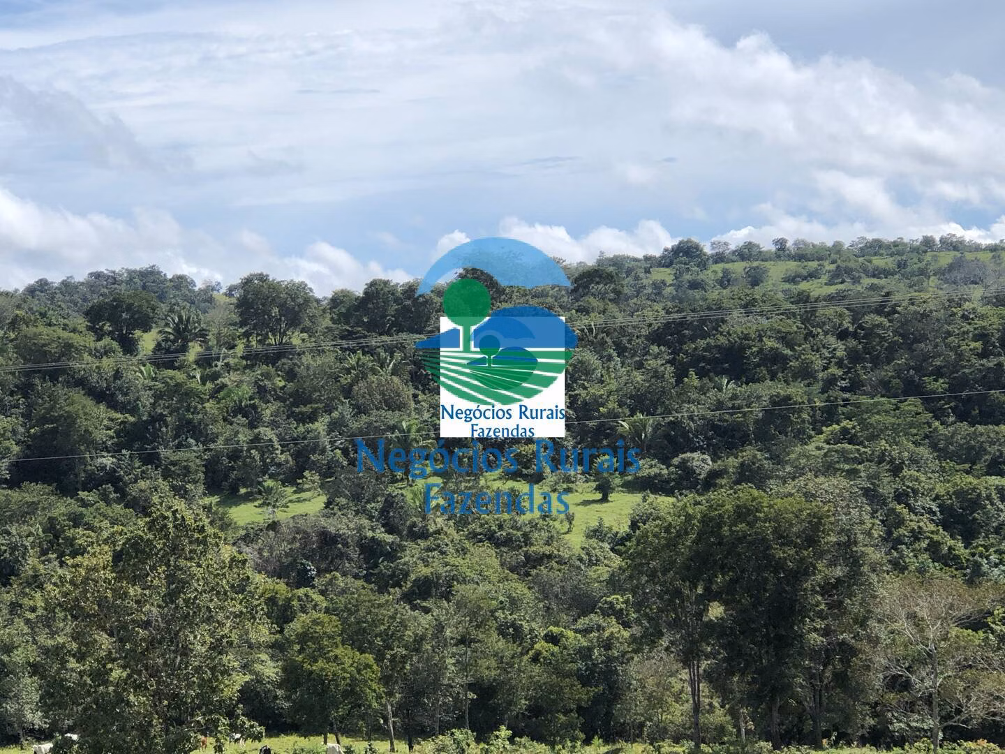 Fazenda de 484 ha em Uruaçu, GO