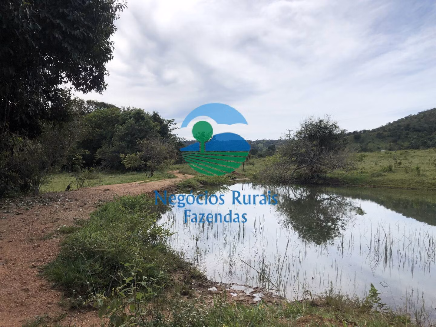 Fazenda de 484 ha em Uruaçu, GO