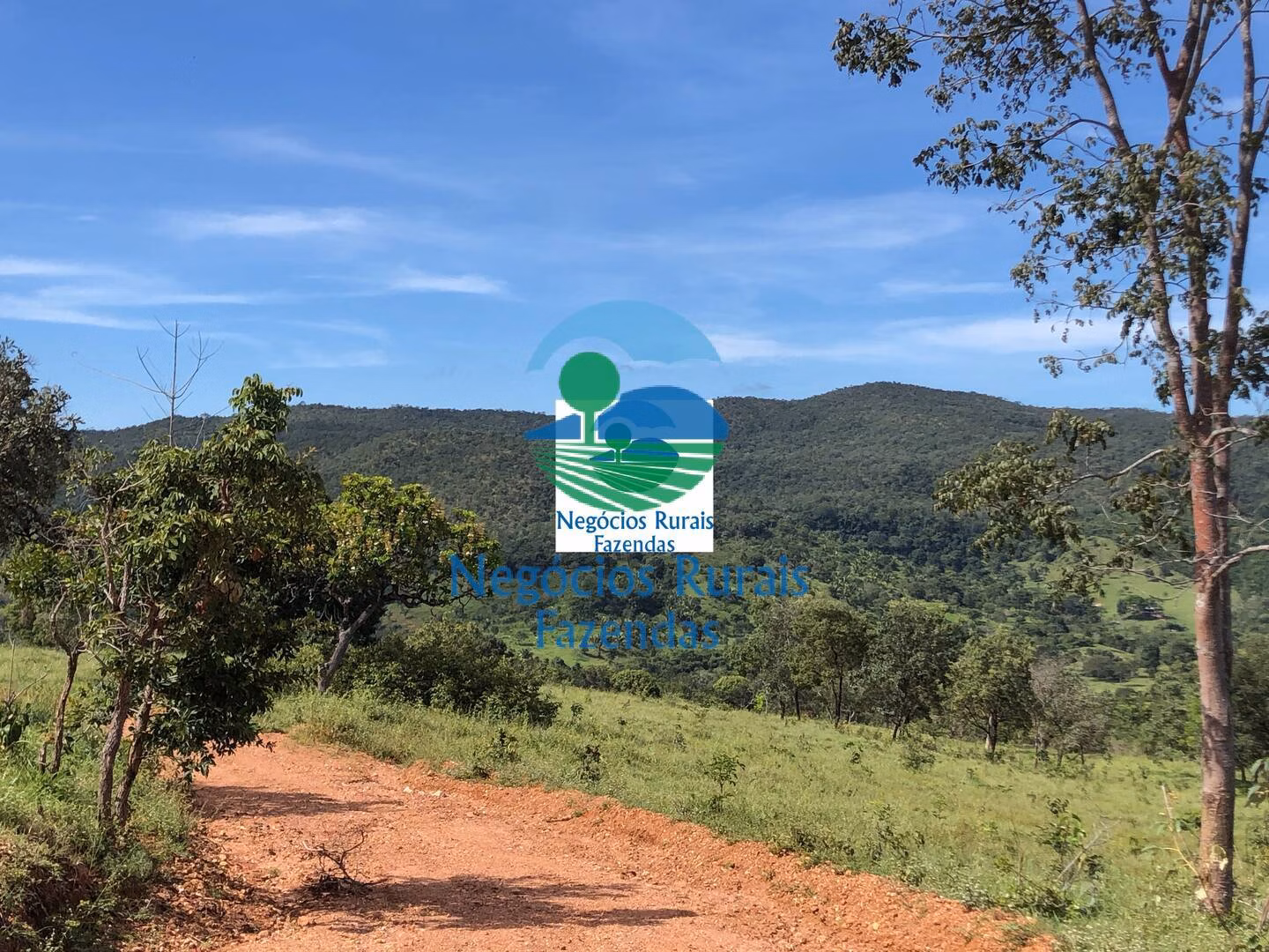 Fazenda de 484 ha em Uruaçu, GO