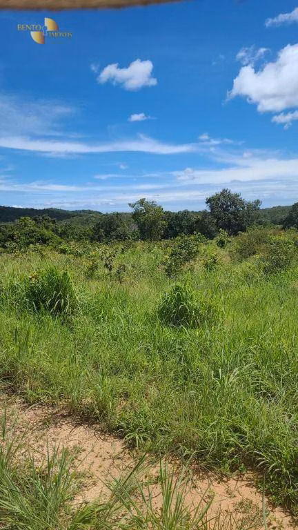 Fazenda de 965 ha em Nossa Senhora do Livramento, MT