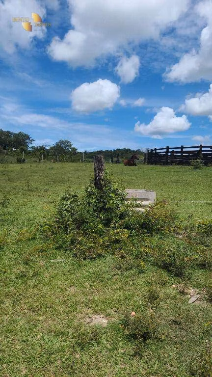 Fazenda de 965 ha em Nossa Senhora do Livramento, MT