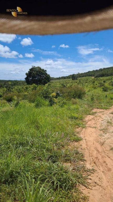 Fazenda de 965 ha em Nossa Senhora do Livramento, MT