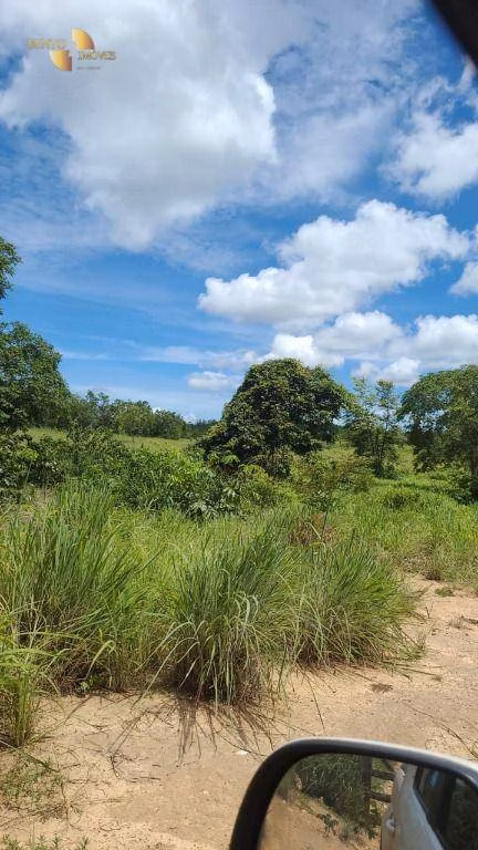 Fazenda de 965 ha em Nossa Senhora do Livramento, MT