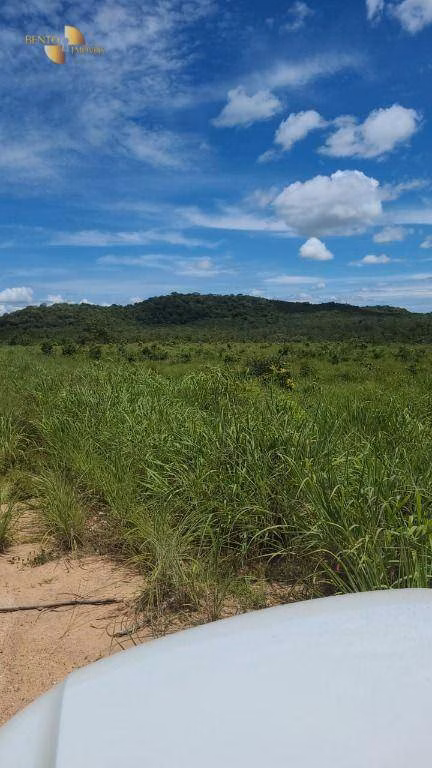 Fazenda de 965 ha em Nossa Senhora do Livramento, MT
