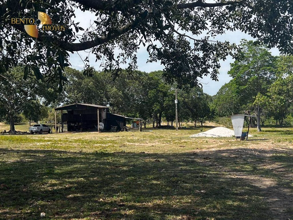 Fazenda de 965 ha em Nossa Senhora do Livramento, MT