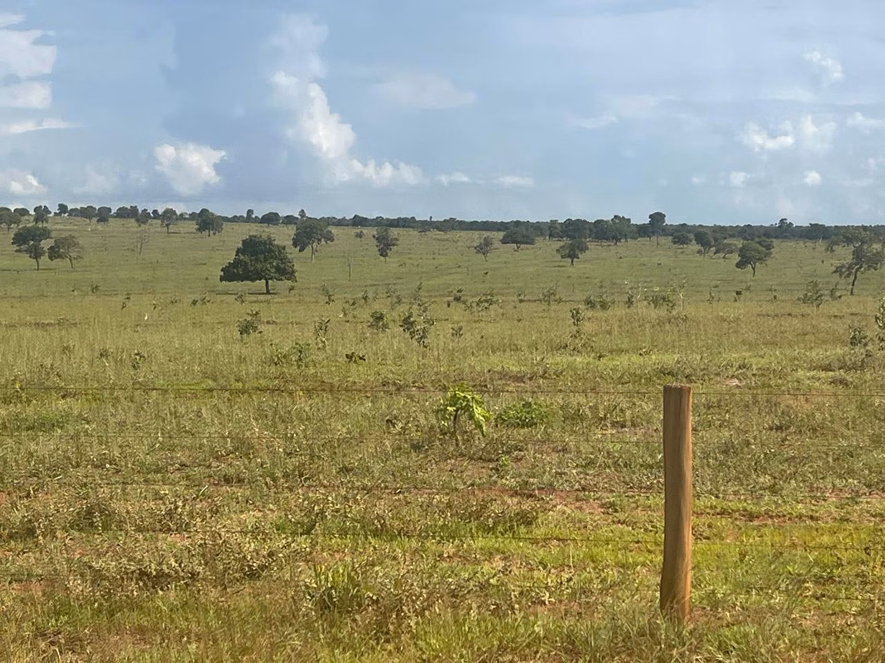 Farm of 13.816 acres in Paraíso das Águas, MS, Brazil
