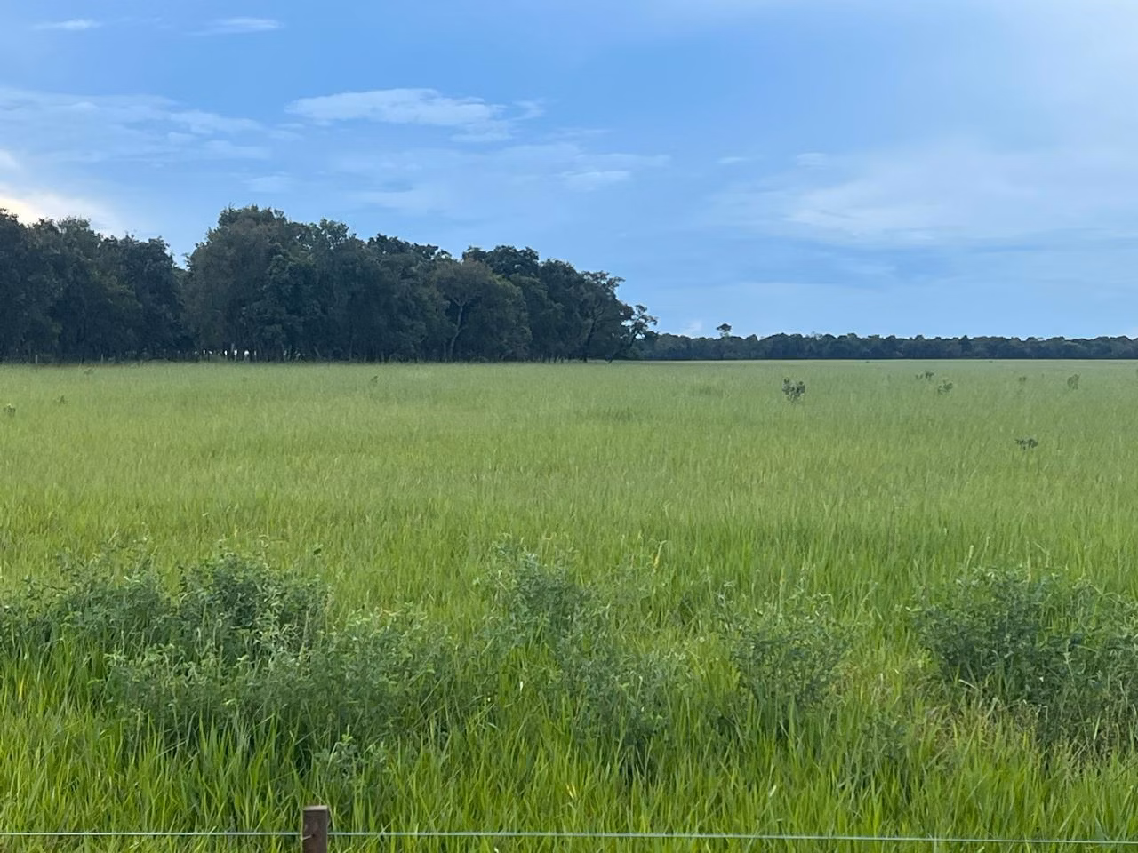 Farm of 13.816 acres in Paraíso das Águas, MS, Brazil