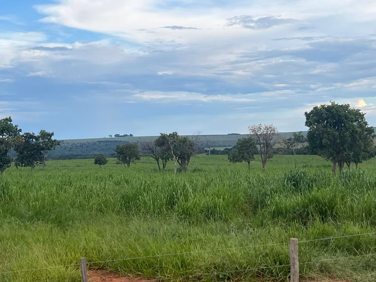 Farm of 13.816 acres in Paraíso das Águas, MS, Brazil