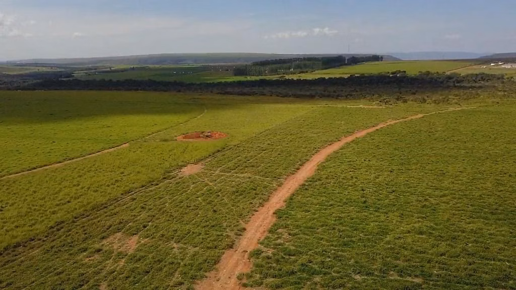 Farm of 4,838 acres in Planaltina, GO, Brazil