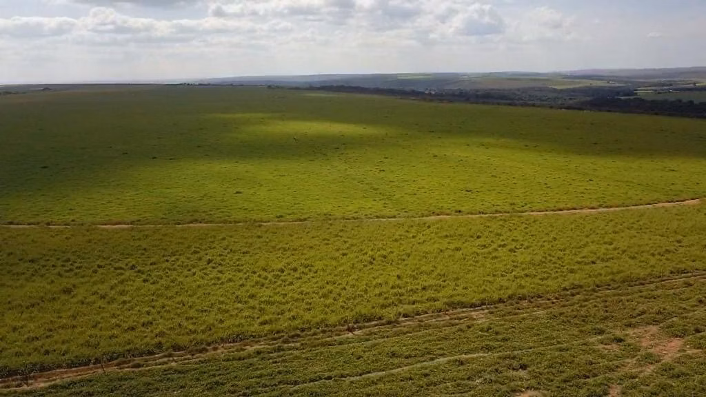 Farm of 4,838 acres in Planaltina, GO, Brazil