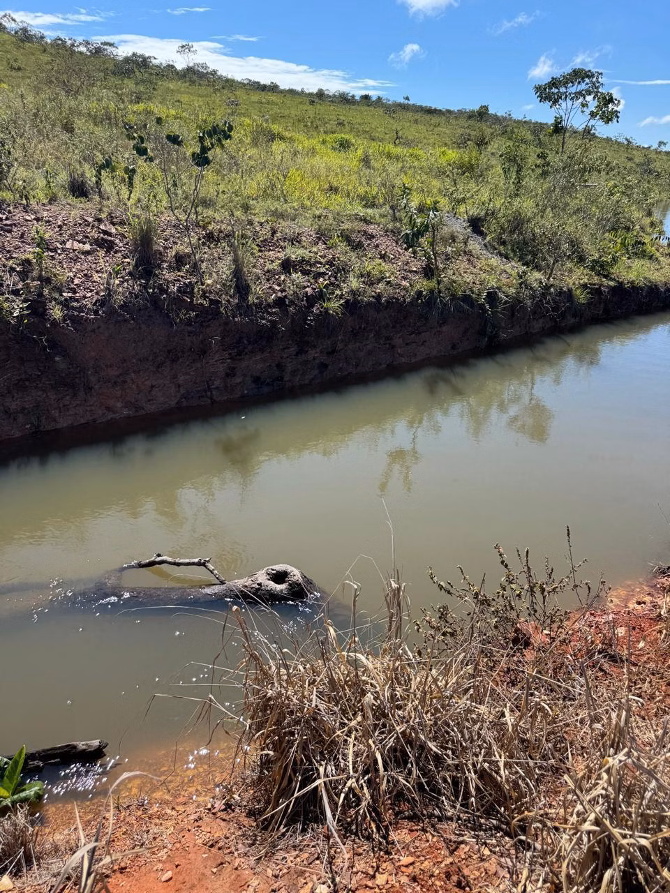 Farm of 4,838 acres in Planaltina, GO, Brazil