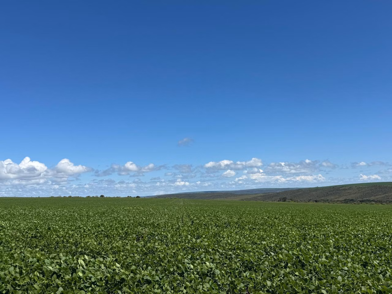 Farm of 4,838 acres in Planaltina, GO, Brazil