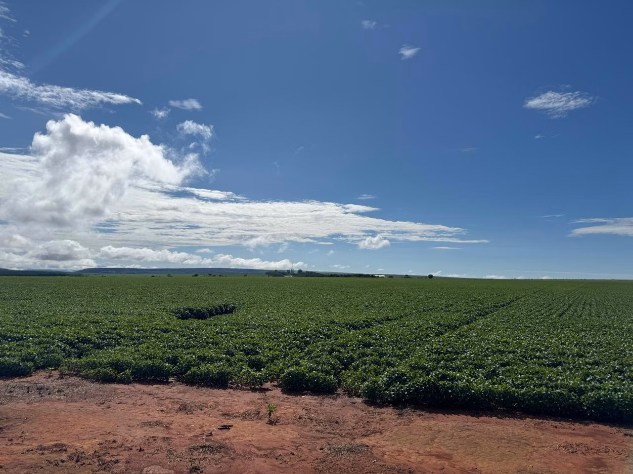 Farm of 4,838 acres in Planaltina, GO, Brazil