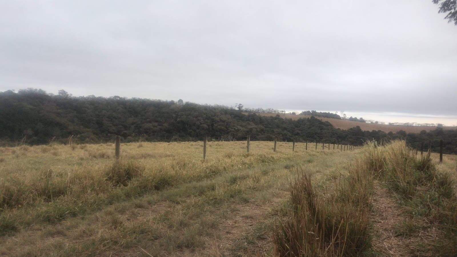 Fazenda de 143 ha em São Miguel Arcanjo, SP