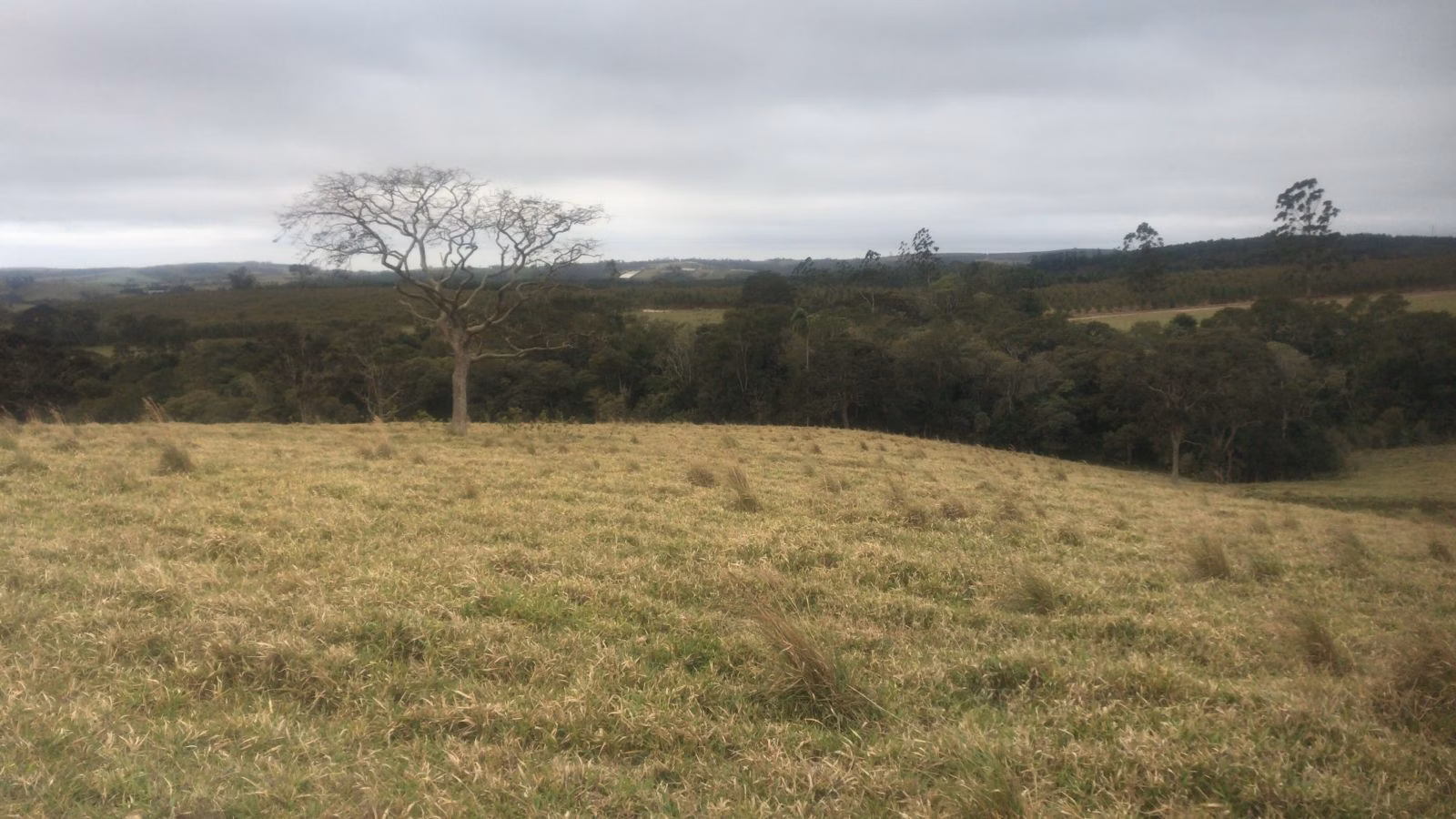 Fazenda de 143 ha em São Miguel Arcanjo, SP