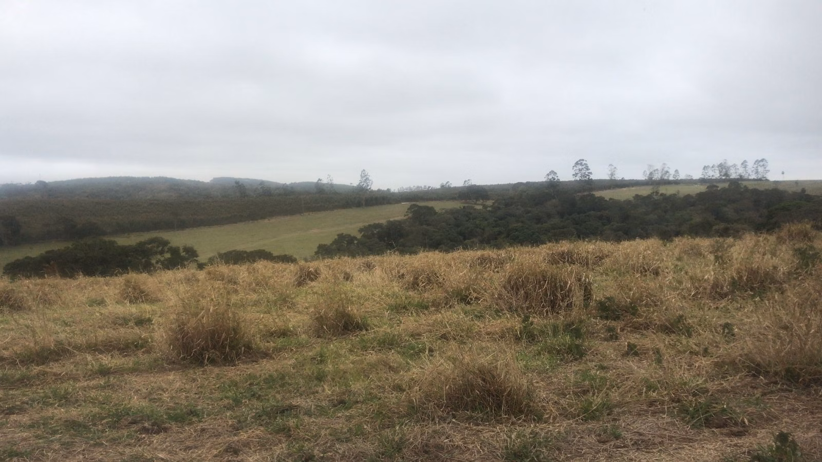 Fazenda de 143 ha em São Miguel Arcanjo, SP