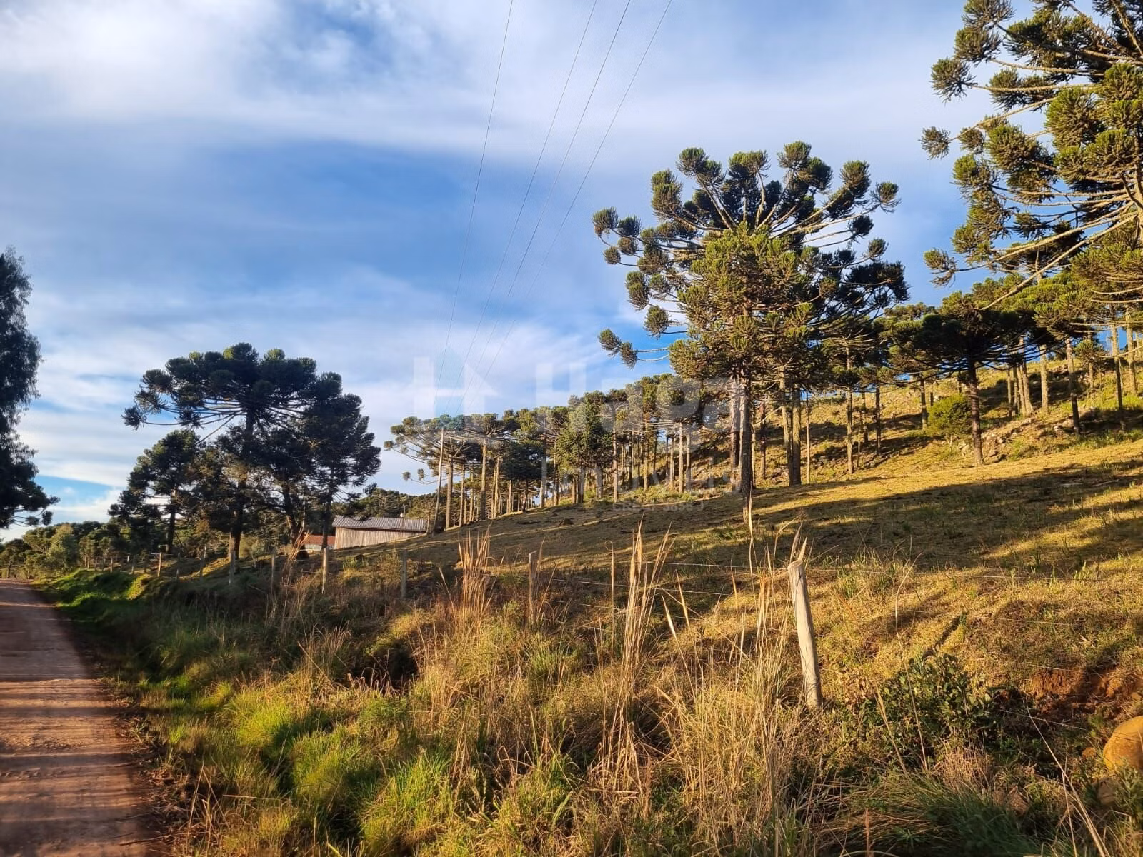 Plot of 12 acres in Bom Jardim da Serra, SC, Brazil