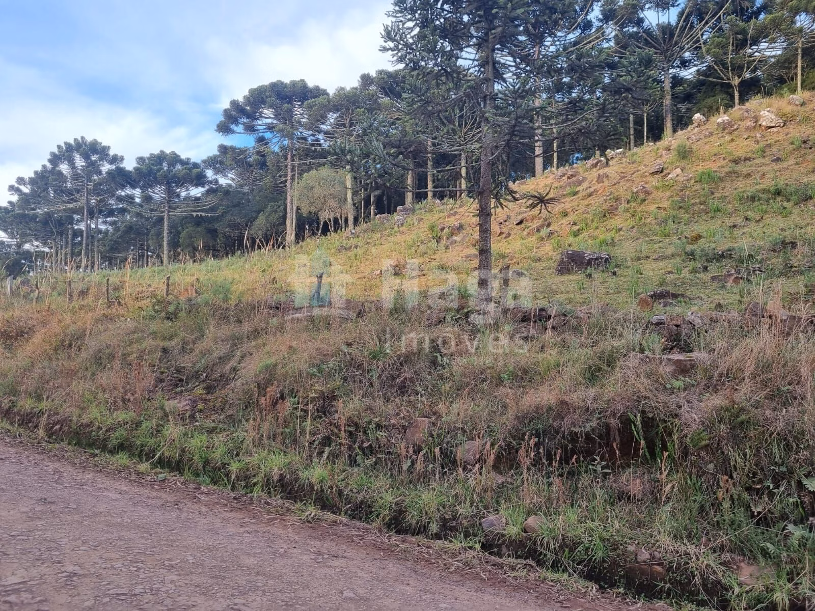 Terreno de 5 ha em Bom Jardim da Serra, SC