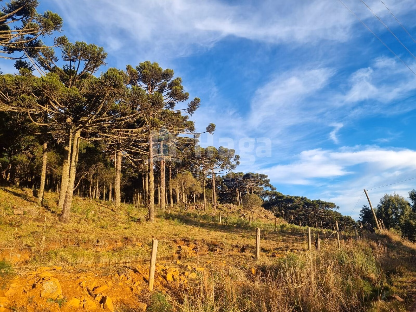 Terreno de 5 ha em Bom Jardim da Serra, SC