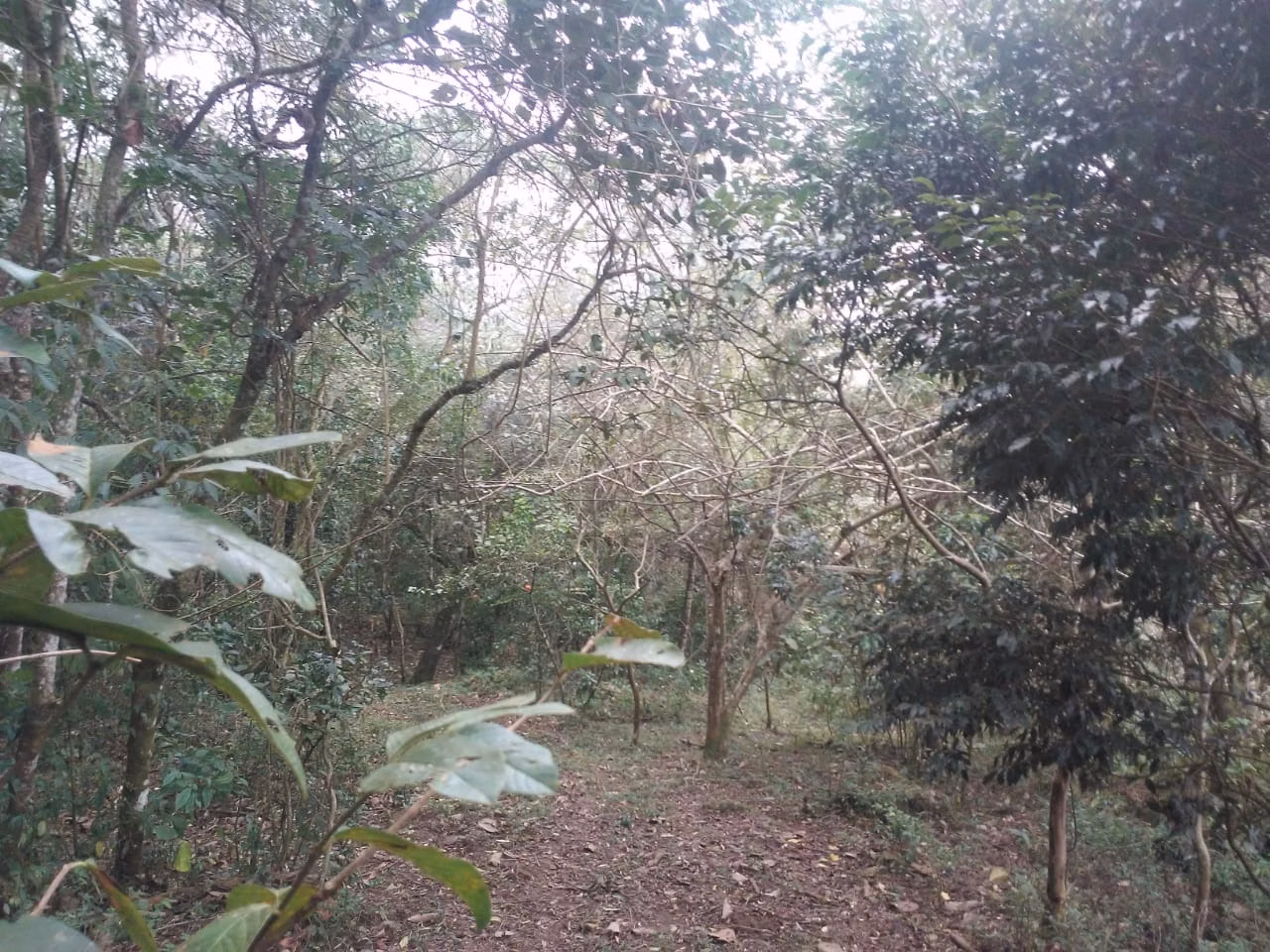Terreno de 30 ha em Monteiro Lobato, SP