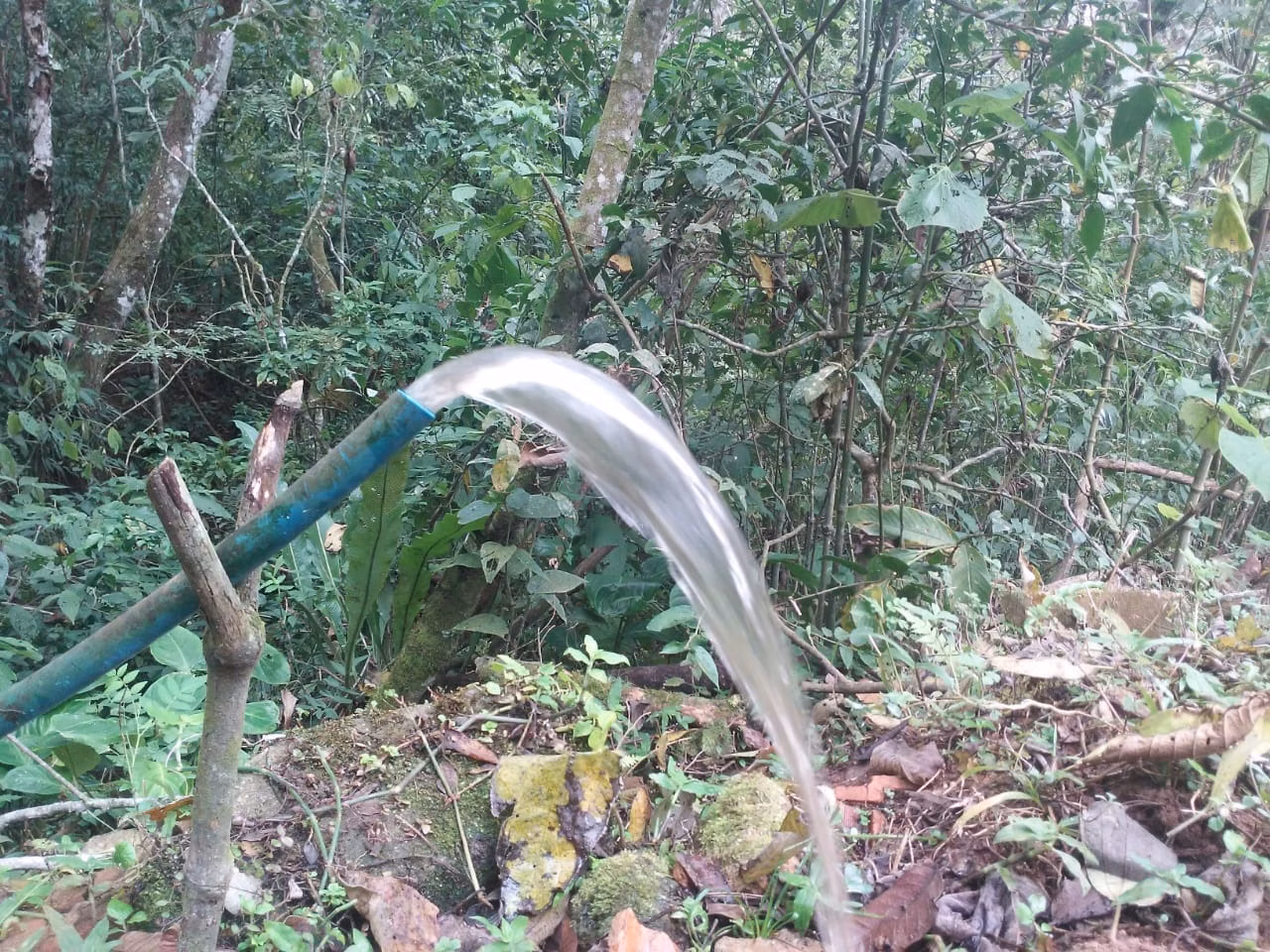 Terreno de 30 ha em Monteiro Lobato, SP