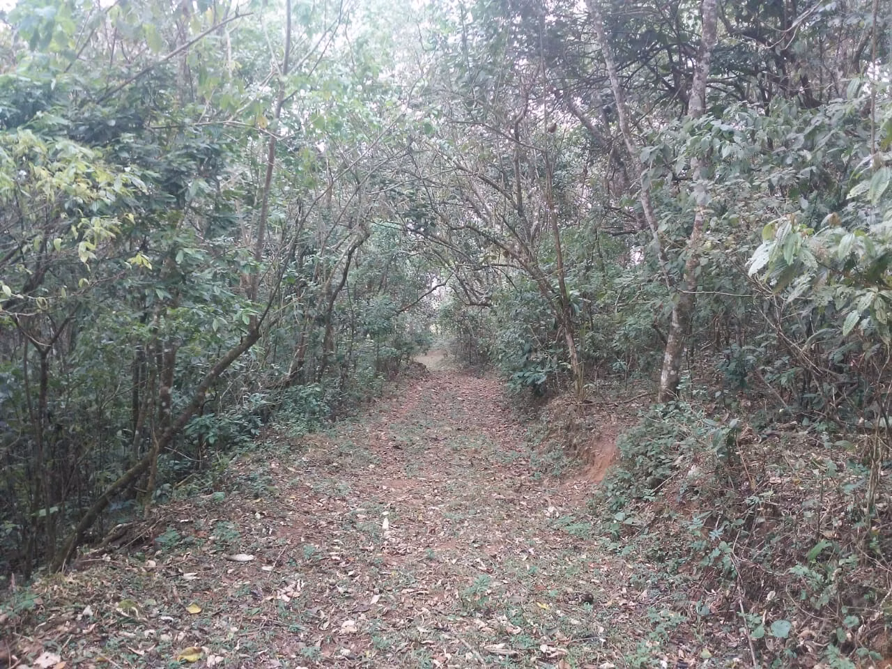 Terreno de 30 ha em Monteiro Lobato, SP