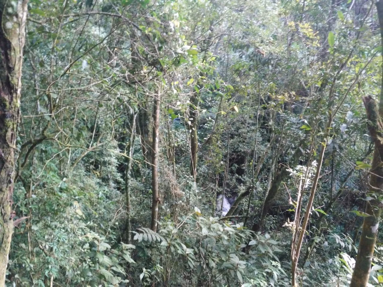 Terreno de 30 ha em Monteiro Lobato, SP