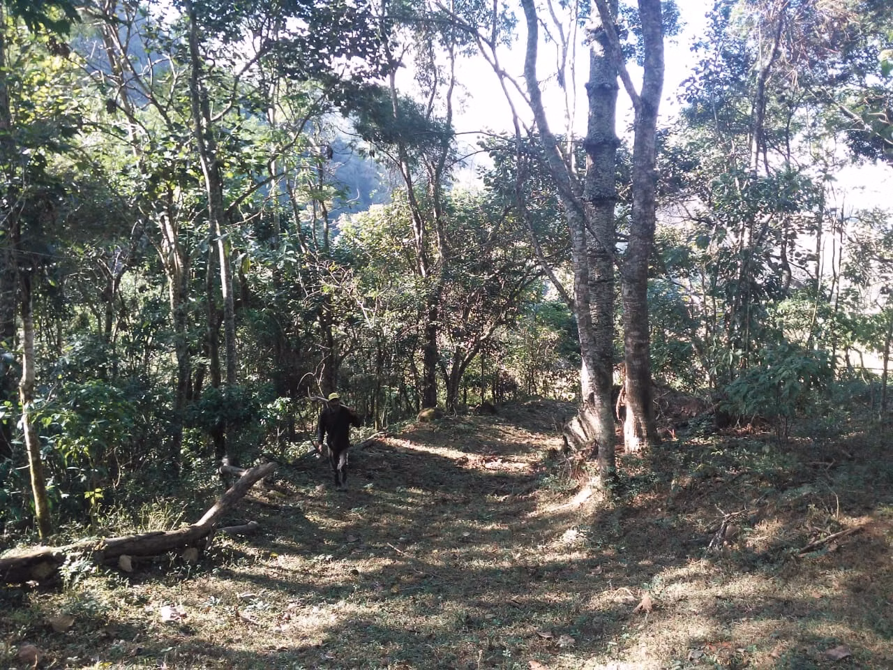 Terreno de 30 ha em Monteiro Lobato, SP
