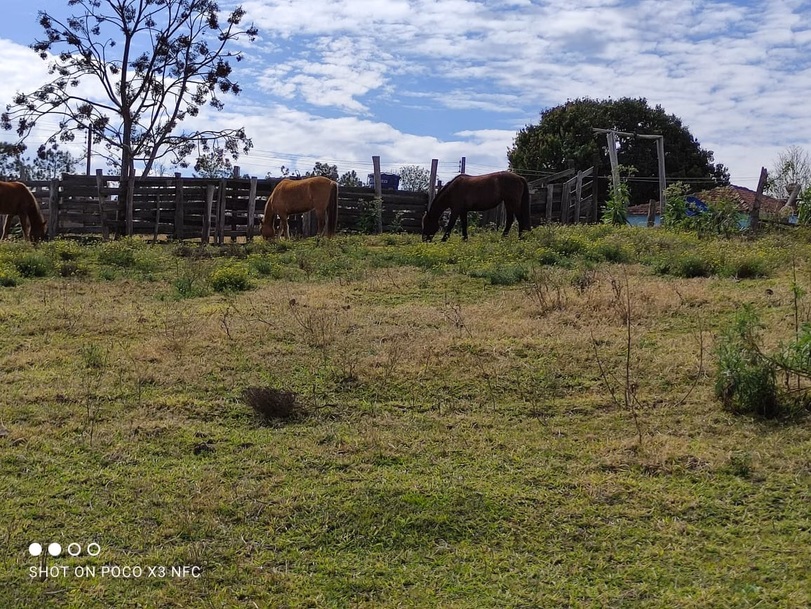 Sítio de 27 ha em Angatuba, SP