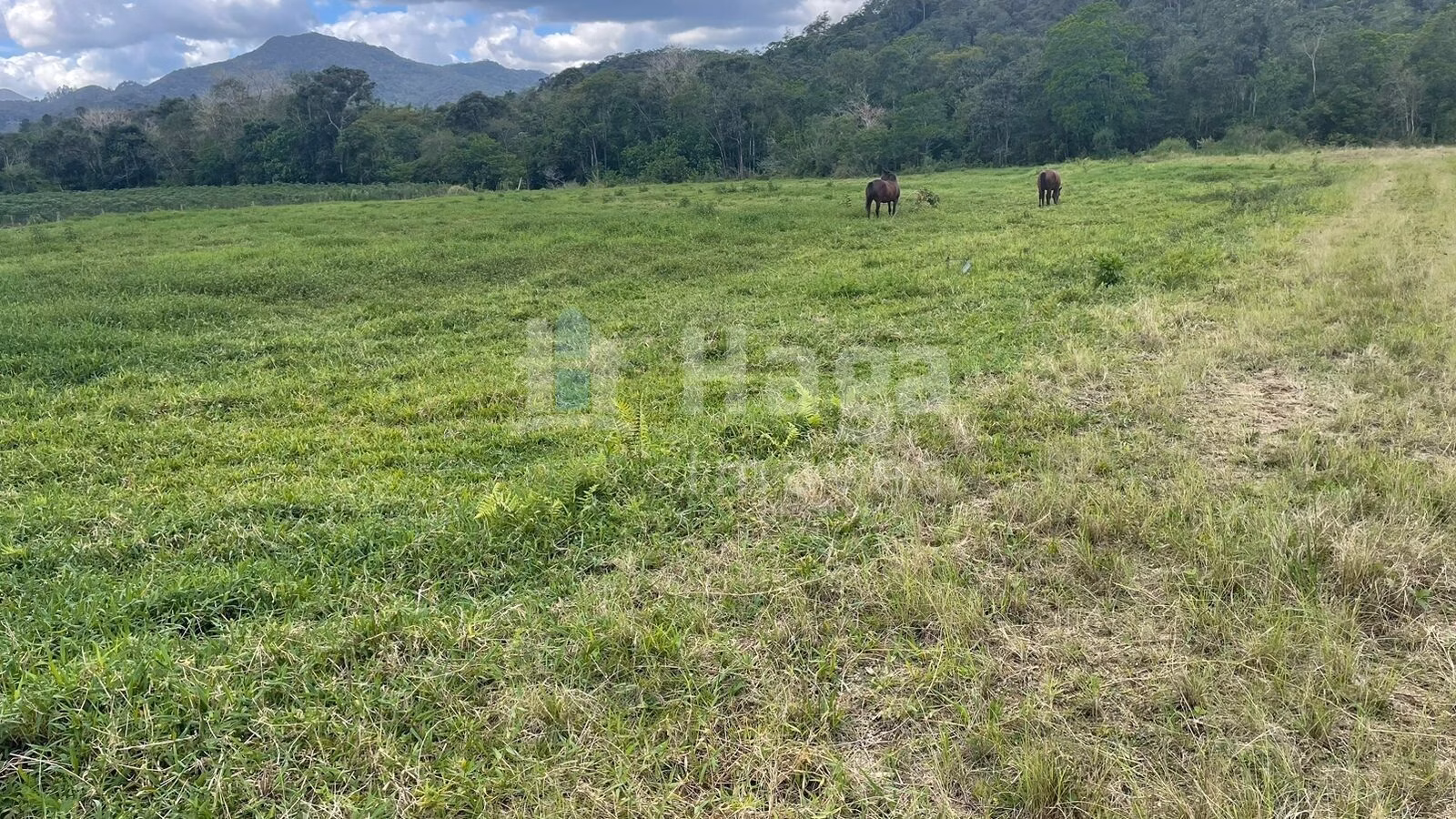 Terreno de 2.200 m² em Canelinha, SC