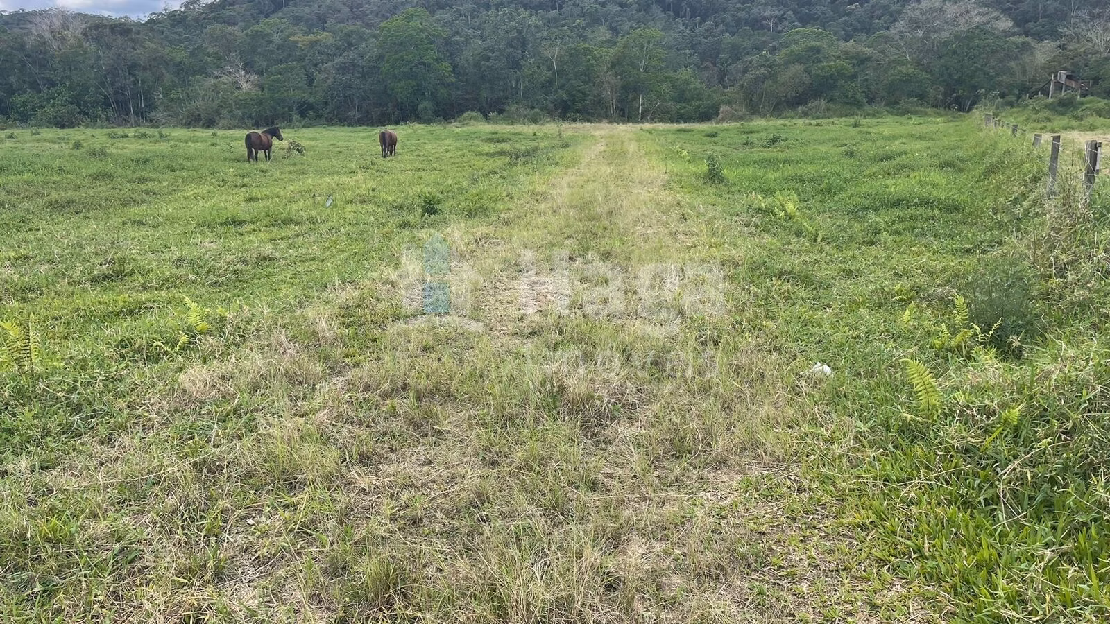Terreno de 2.200 m² em Canelinha, SC