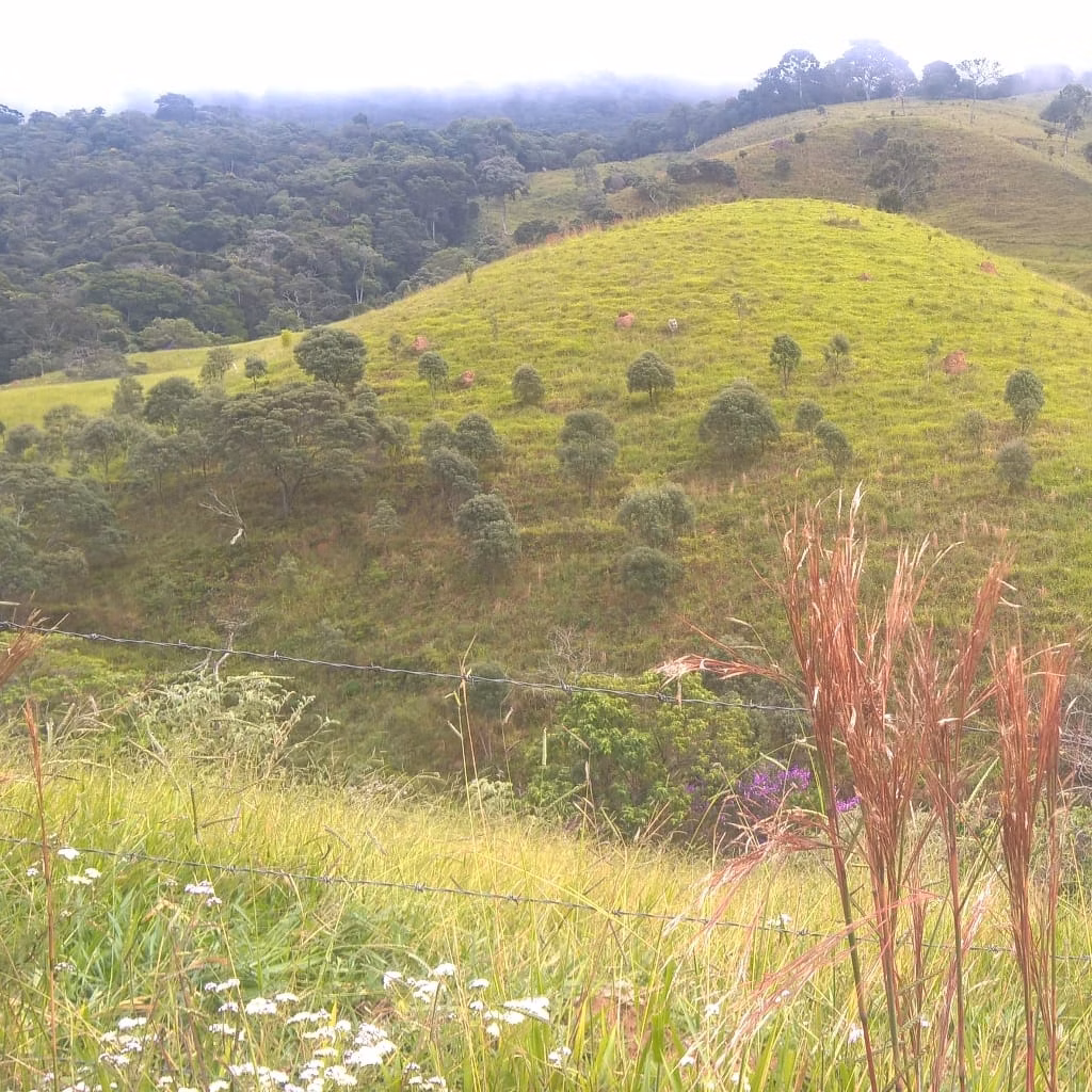 Small farm of 7 acres in São Lourenço, MG, Brazil