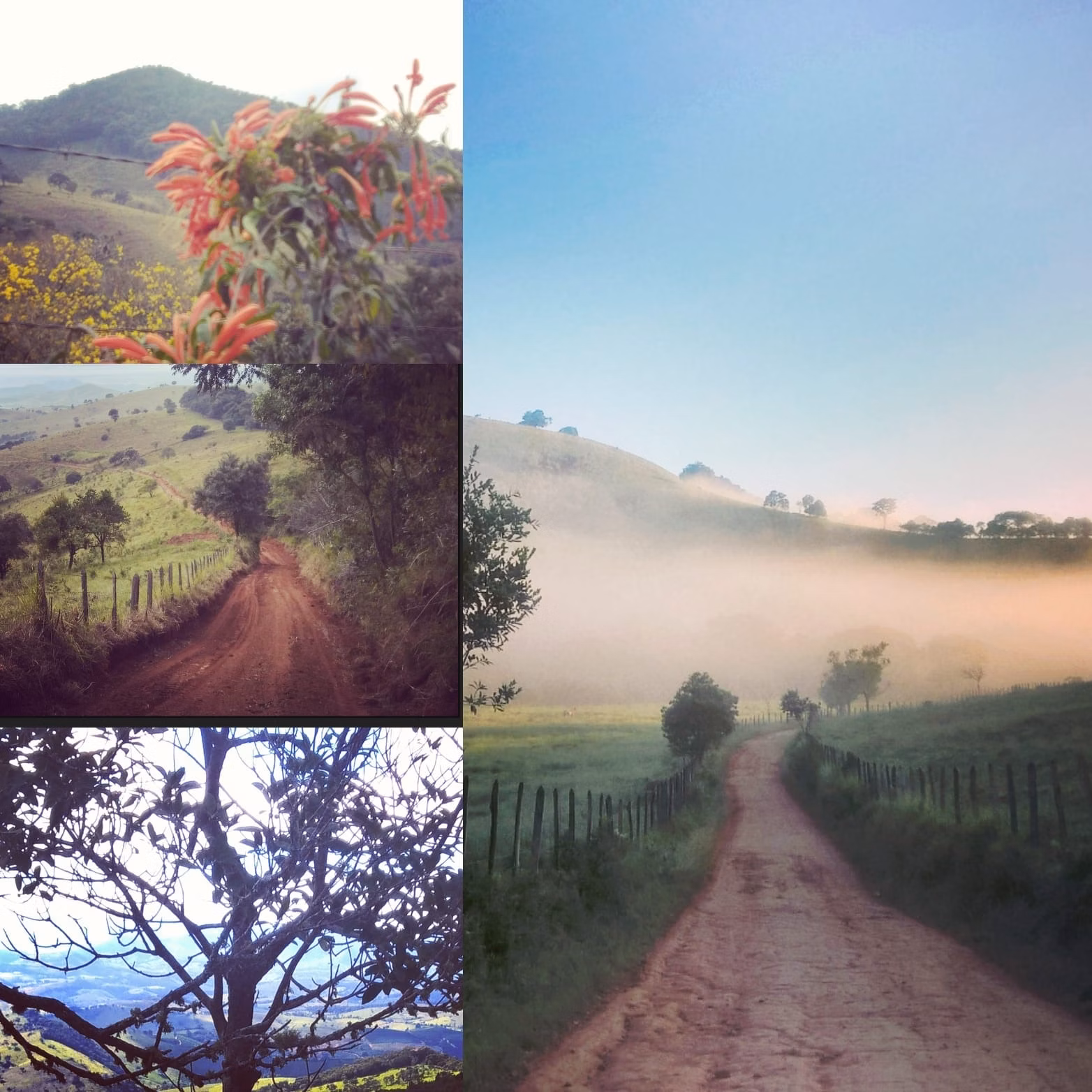 Small farm of 7 acres in São Lourenço, MG, Brazil