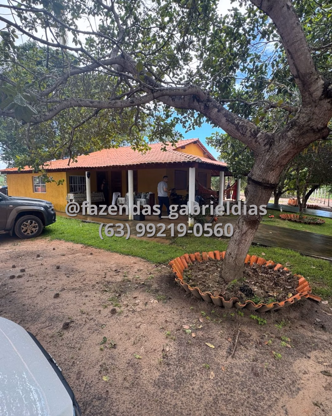 Farm of 10.032 acres in Matões, MA, Brazil