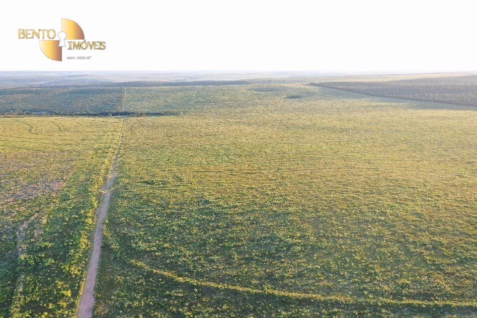 Fazenda de 8.000 ha em Paranatinga, MT