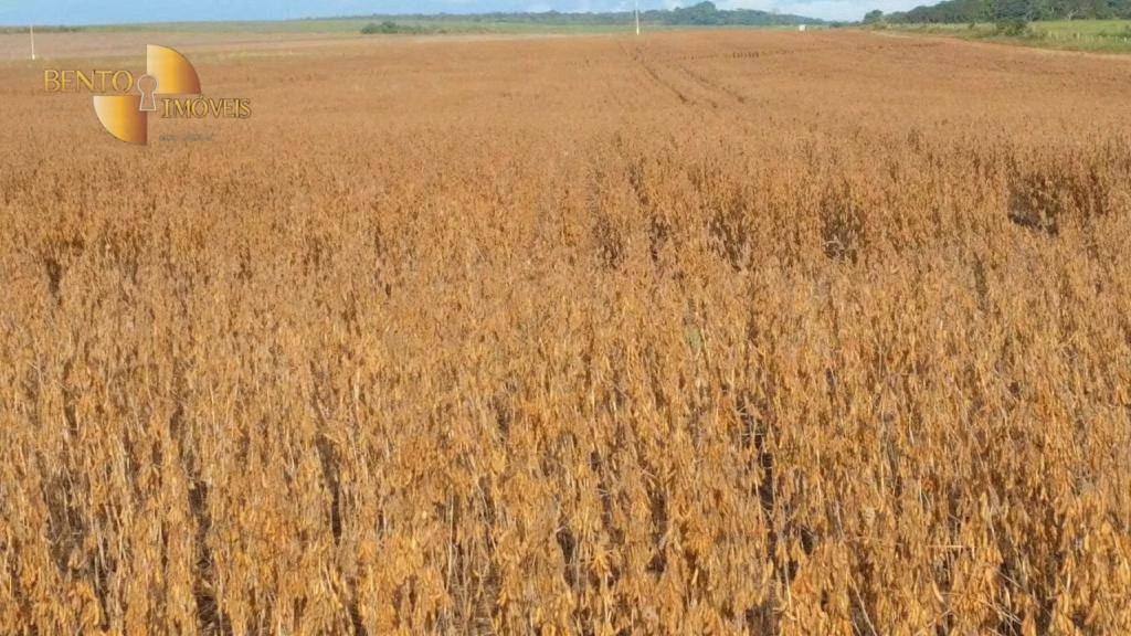 Fazenda de 8.000 ha em Paranatinga, MT