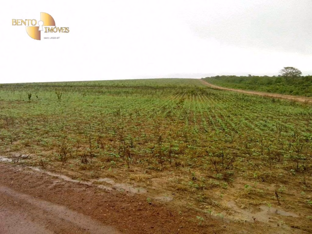 Farm of 19.768 acres in Paranatinga, MT, Brazil