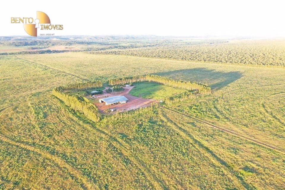 Fazenda de 8.000 ha em Paranatinga, MT