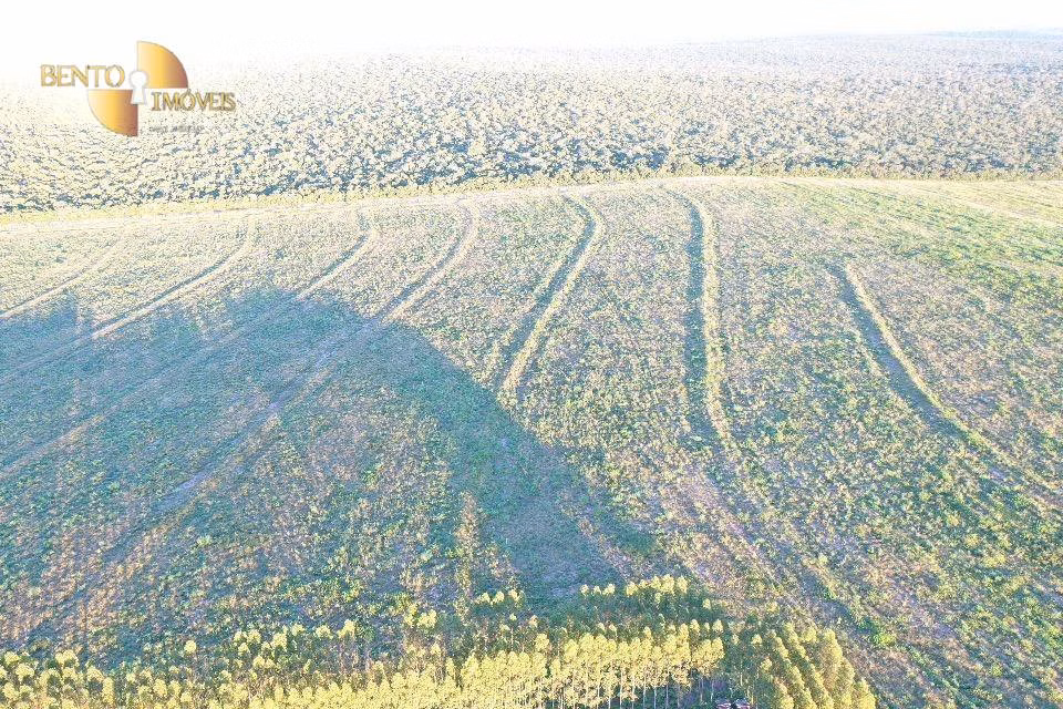 Farm of 19.768 acres in Paranatinga, MT, Brazil