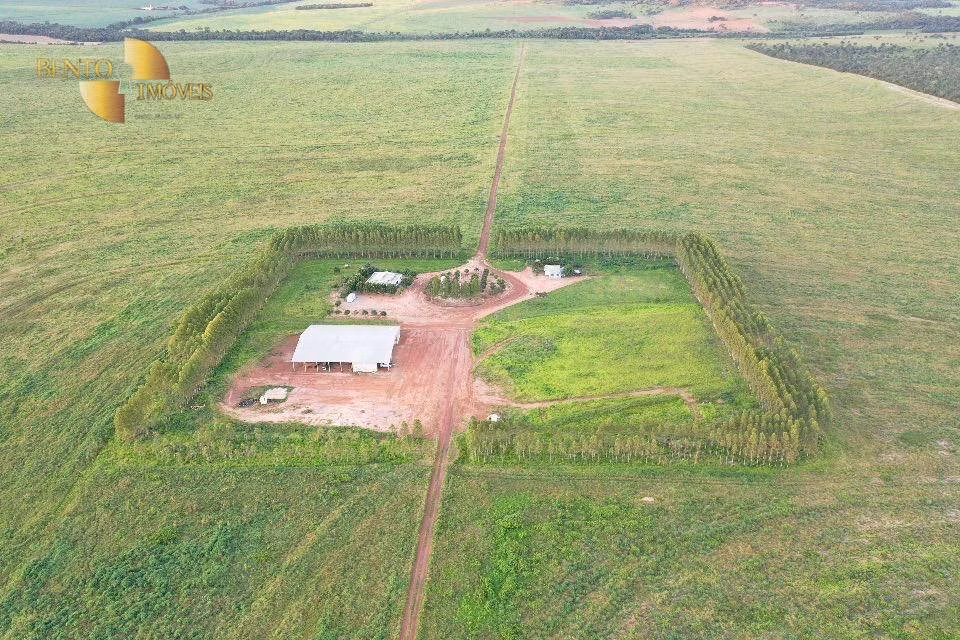 Fazenda de 8.000 ha em Paranatinga, MT