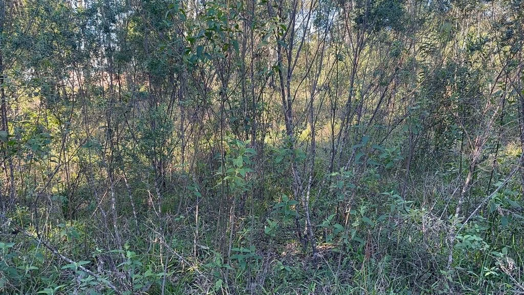 Country home of 3,400 m² in Eldorado do Sul, RS, Brazil