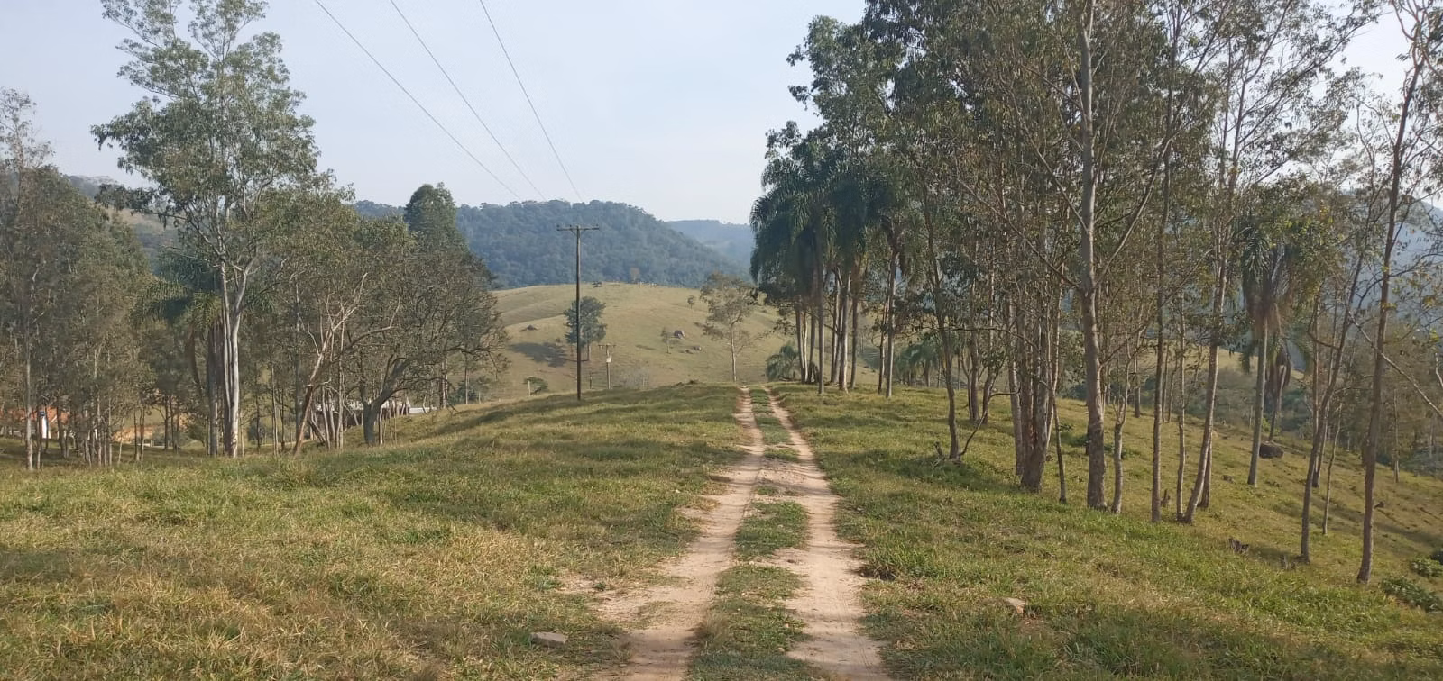 Fazenda de 157 ha em Capão Bonito, SP