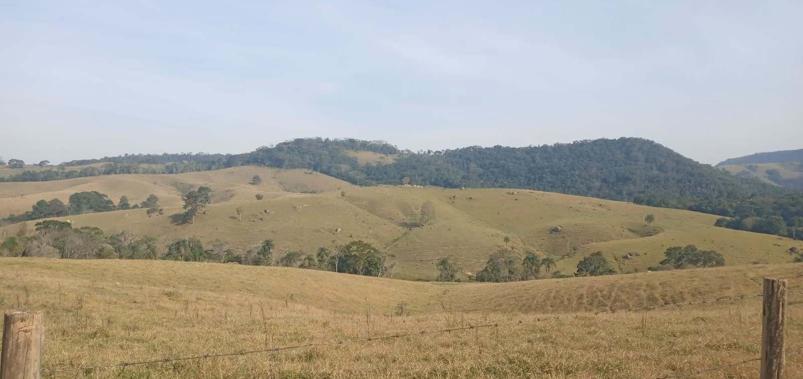 Fazenda de 157 ha em Capão Bonito, SP