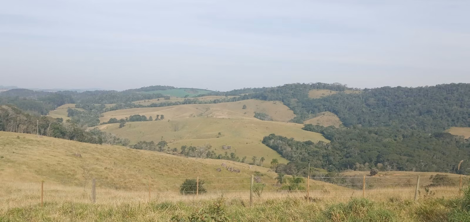 Fazenda de 157 ha em Capão Bonito, SP