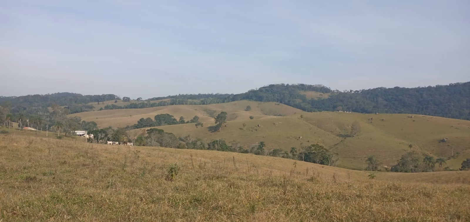 Fazenda de 157 ha em Capão Bonito, SP